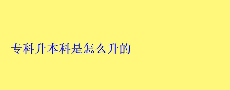 专科升本科是怎么升的