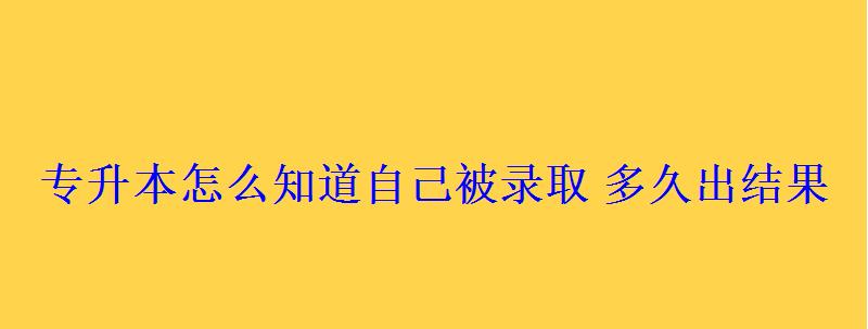 专升本怎么知道自己被录取多久出结果