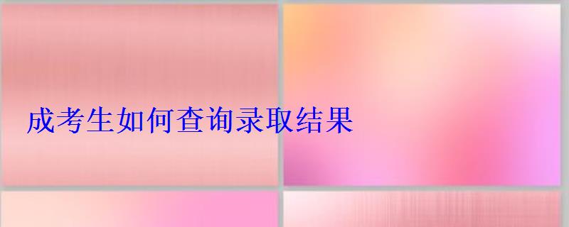 成考生如何查询录取结果 成考生如何查询录取结果