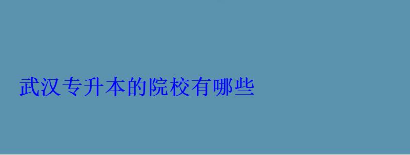 武汉专升本的院校有哪些