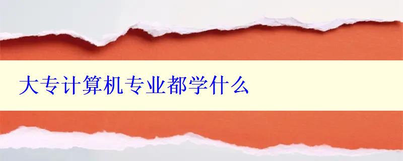 大专计算机专业都学什么