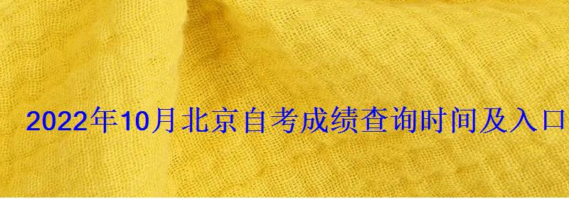 2022年10月北京自考成绩查询时间及入口