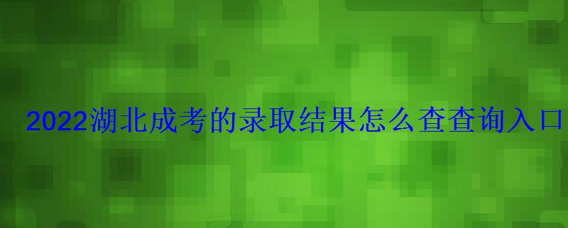 2022湖北成考的录取结果怎么查查询入口