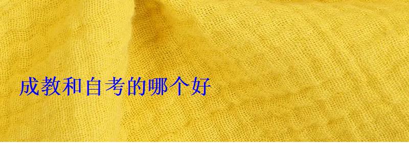 成教和自考的哪个好