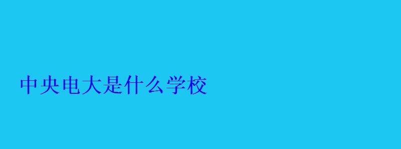 中央电大是什么学校