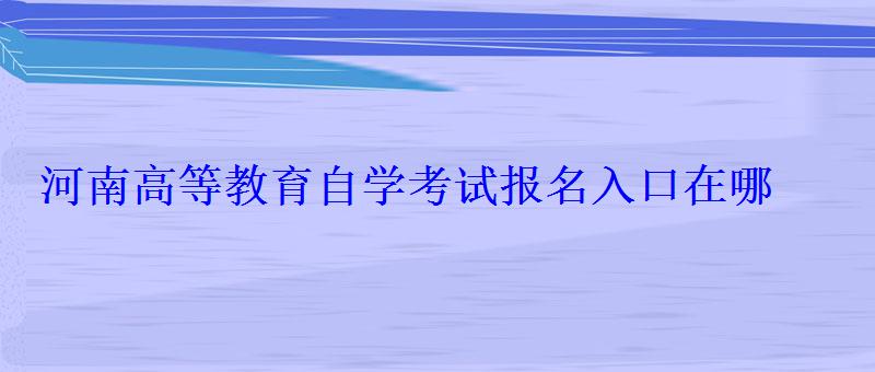 河南高等教育自学考试报名入口在哪