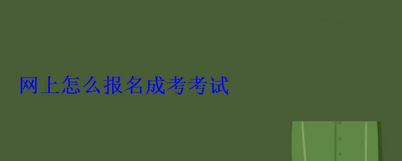 网上怎么报名成考考试