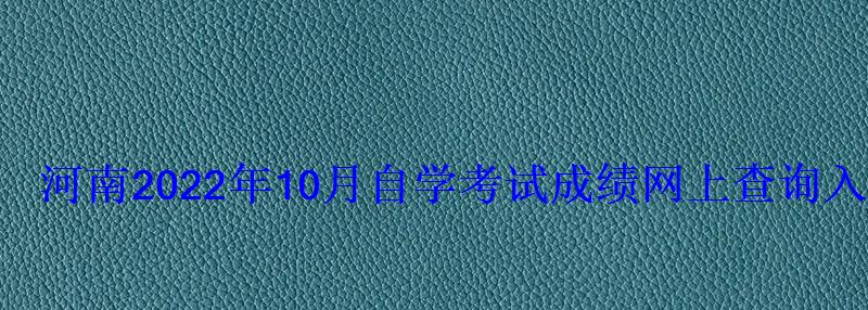 河南2022年10月自学考试成绩网上查询入口