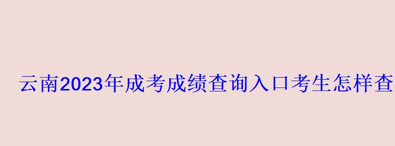 云南2023年成考成绩查询入口考生怎样查分 云南2023年成考成绩查询入口考生怎样查分
