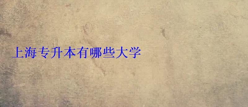 上海专升本有哪些大学