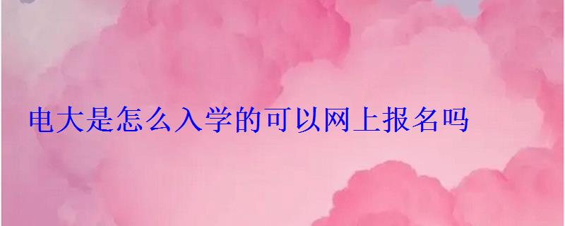 电大是怎么入学的可以网上报名吗