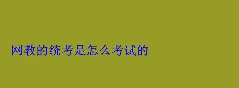 网教的统考是怎么考试的 网教的统考是怎么考试的