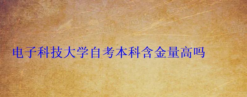 电子科技大学自考本科含金量高吗