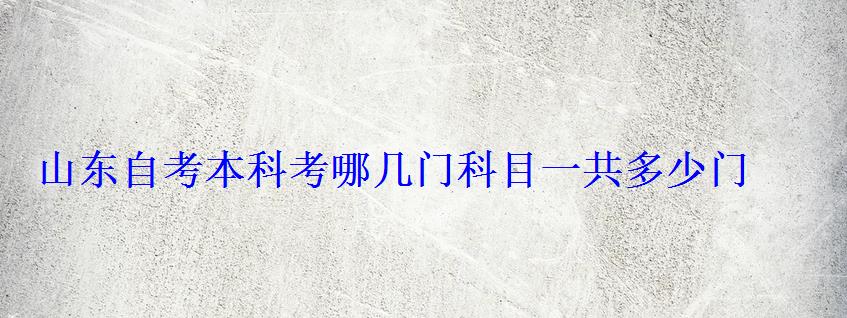 山东自考本科考哪几门科目一共多少门