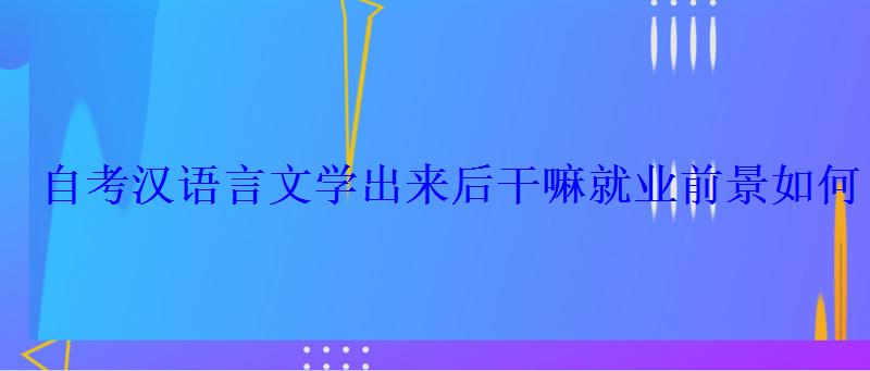 自考汉语言文学出来后干嘛就业前景如何