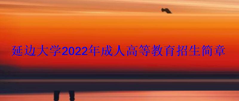 延边大学2022年成人高等教育招生简章