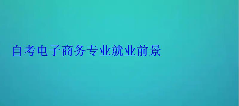 自考电子商务专业就业前景