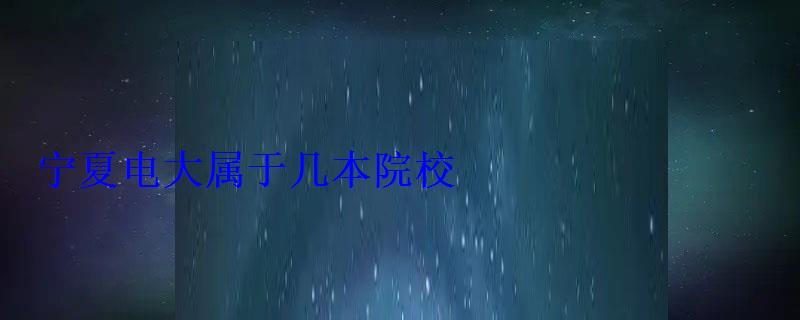 宁夏电大属于几本院校