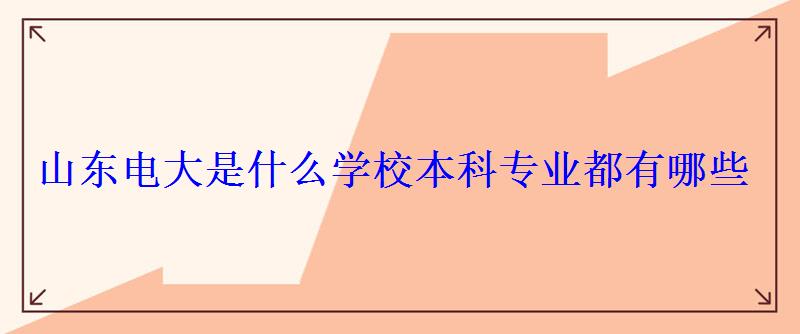 山东电大是什么学校本科专业都有哪些
