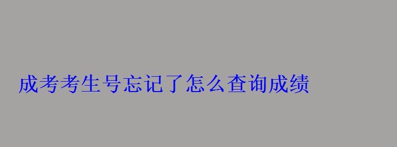怎样查看成教考生号，成考考生号忘记了怎么查询成绩