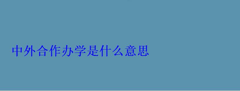 中外合作办学是什么意思