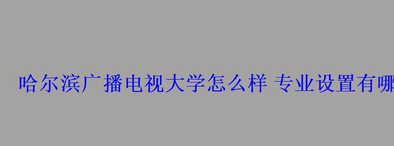 哈尔滨广播电视大学怎么样专业设置有哪些