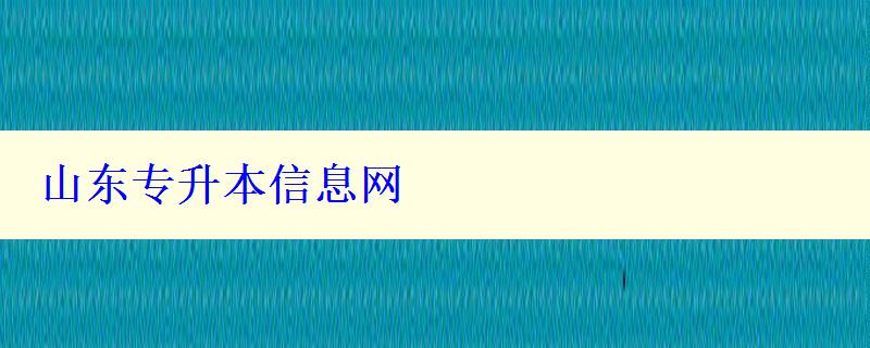 山东专升本信息网