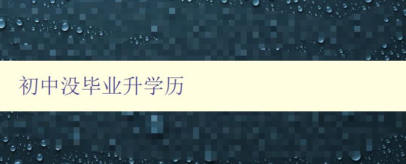 初中没毕业升学历