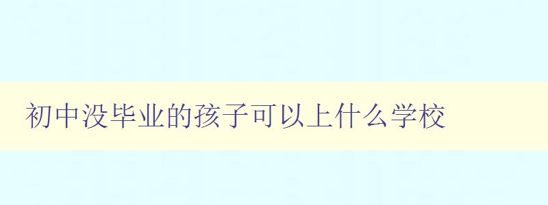 初中没毕业的孩子可什么学校 初中没毕业的孩子可什么学校