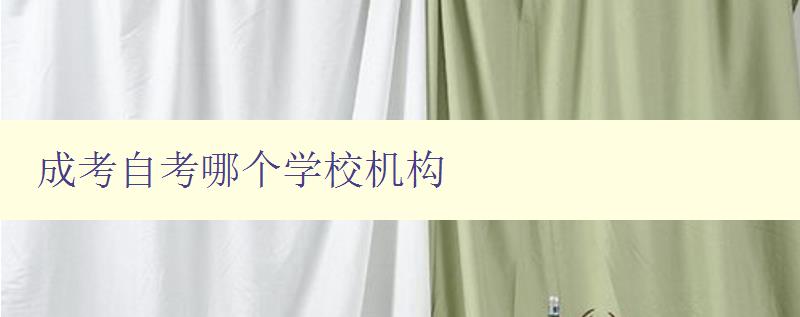 成考自考哪个学校机构 如何选择适合自己的学校机构 成考自考哪个学校机构 如何选择适合自己的学校机构