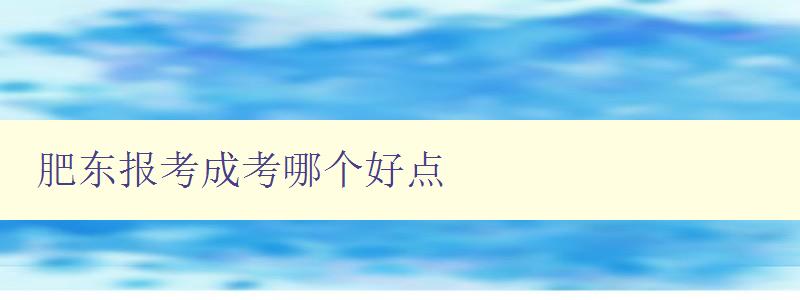 肥东报考成考哪个好点 分析肥东各成考培训机构的优劣势