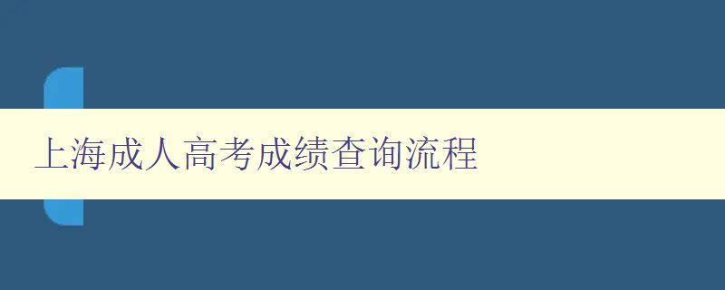 上海成人高考成绩查询流程 上海成人高考成绩查询流程