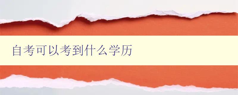 自考可以考到什么学历