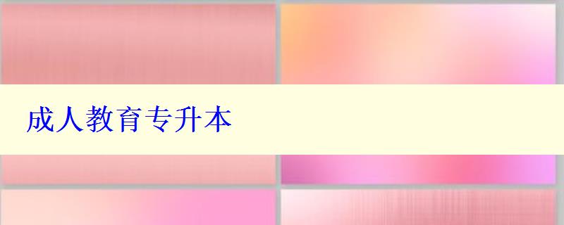 成人教育专升本