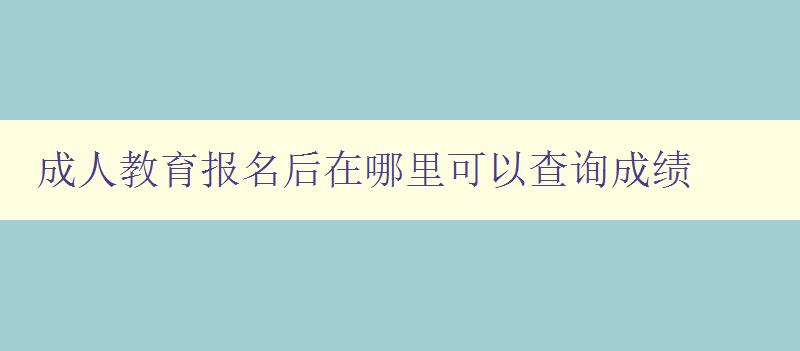 成人教育报名后在哪里可以查询成绩