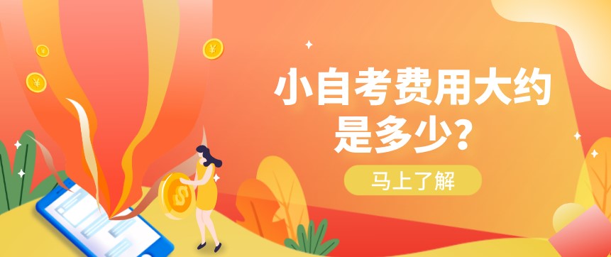 小自考费用大约是多少？