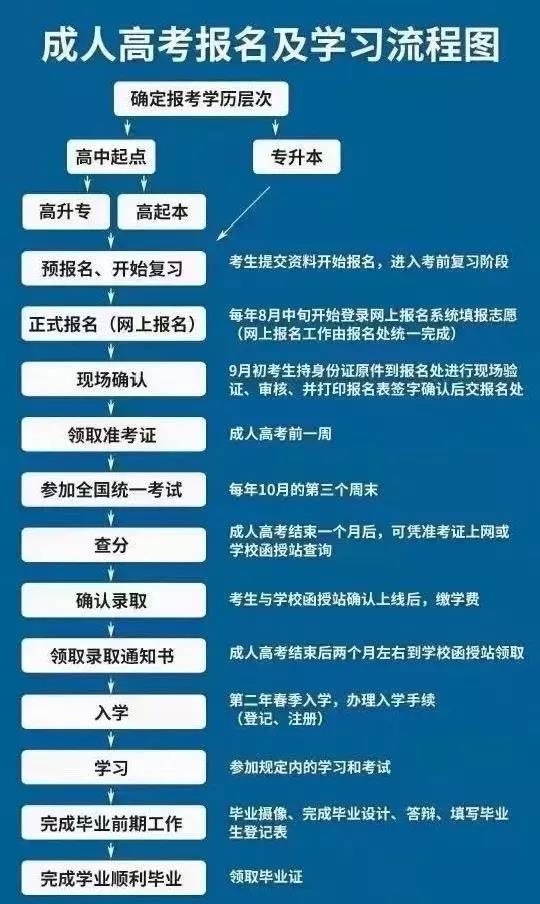 成人高考报名及学习流程图