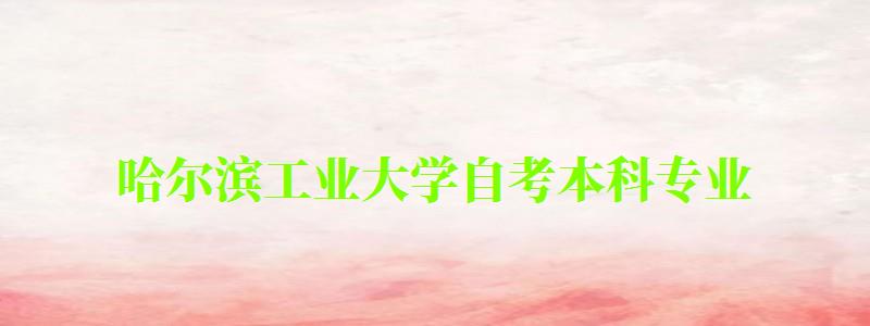 哈尔滨工业大学自考本科专业(哈尔滨工业大学自考本科专业有哪些)