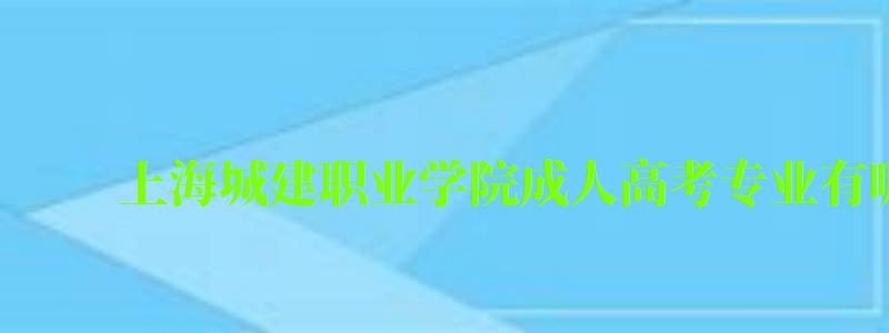 上海城建职业学院成人高考专业有哪些