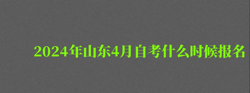 2024年山东4月自考什么时候报名