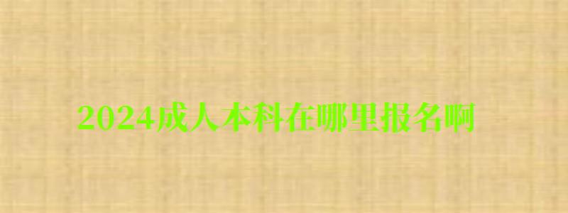 2024成人本科在哪里报名啊
