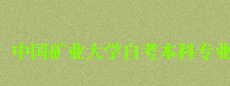 中国矿业大学自考本科专业（中国矿业大学自考本科专业代码）