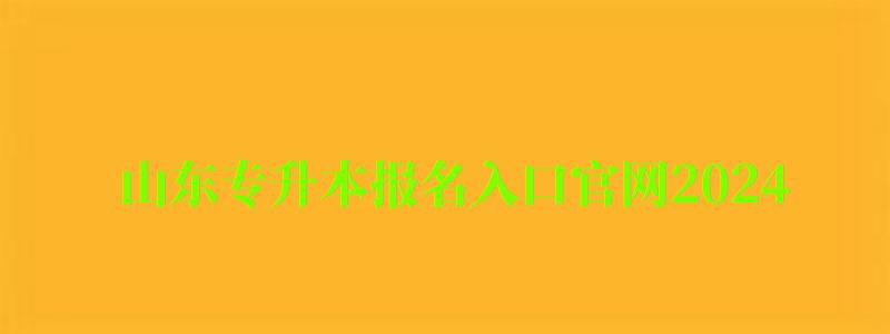 山东专升本报名入口官网2024