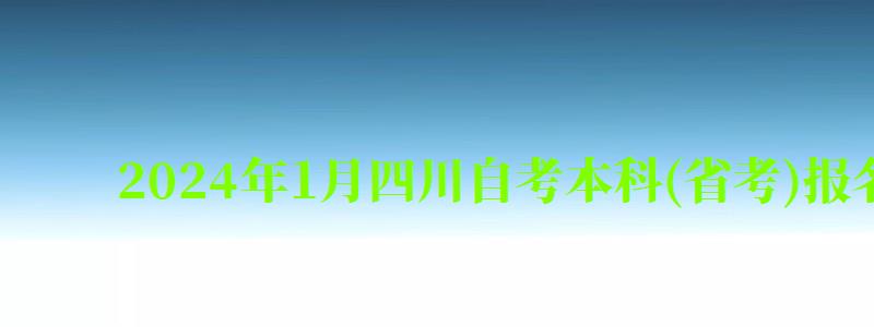 2024年1月四川自考本科(省考)报名时间