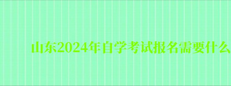 山东2024年自学考试报名需要什么条件与要求 山东2024年自学考试报名需要什么条件与要求(图1)