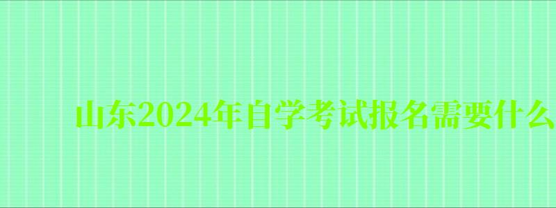 山东2024年自学考试报名需要什么条件与要求