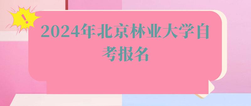 2024年北京林业大学自考报名 2024年北京林业大学自考报名