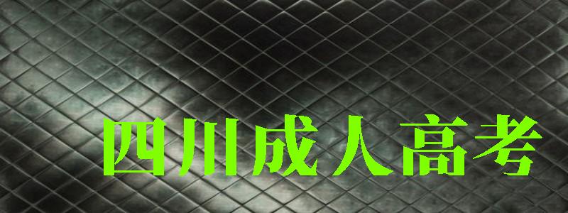 四川成人高考 四川成人高考 (图1)