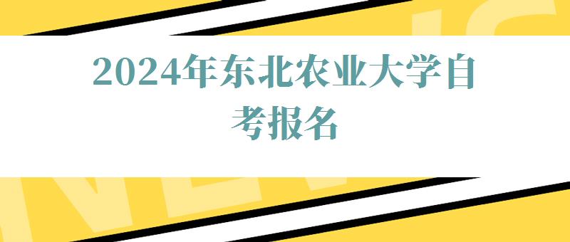 2024年东北农业大学自考报名 2024年东北农业大学自考报名