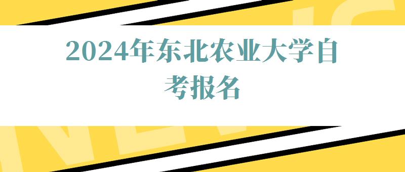 2024年东北农业大学自考报名